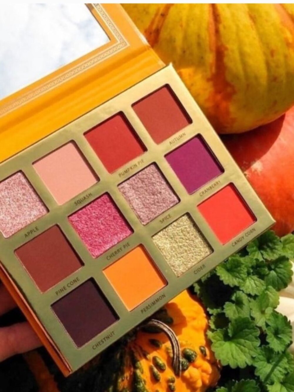 ACE BEAUTÉ 'Falling for You' Eyeshadow Palette - 12 shades - NEVER USED/SWATCHED